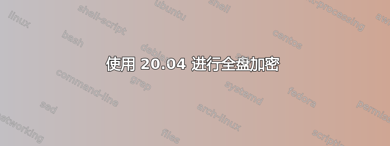 使用 20.04 进行全盘加密