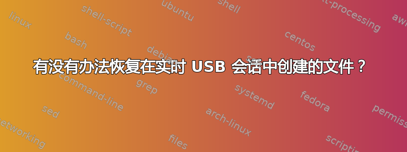 有没有办法恢复在实时 USB 会话中创建的文件？