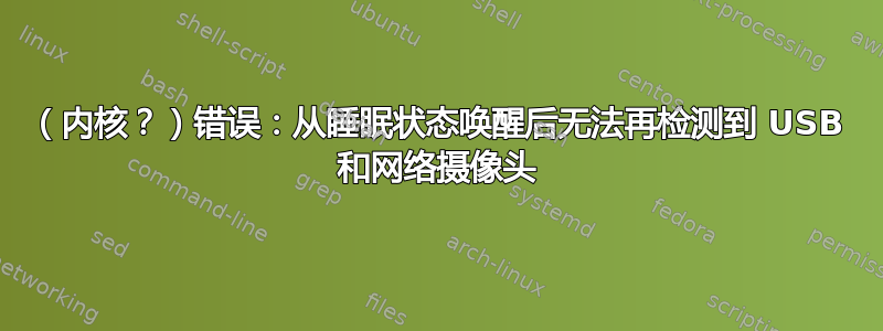 （内核？）错误：从睡眠状态唤醒后无法再检测到 USB 和网络摄像头