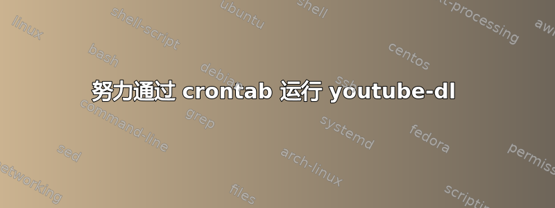 努力通过 crontab 运行 youtube-dl