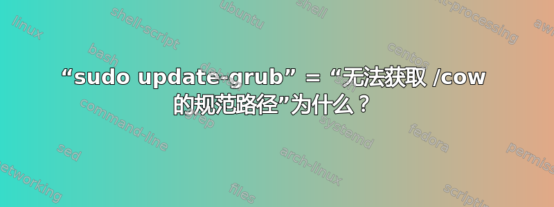 “sudo update-grub” = “无法获取 /cow 的规范路径”为什么？