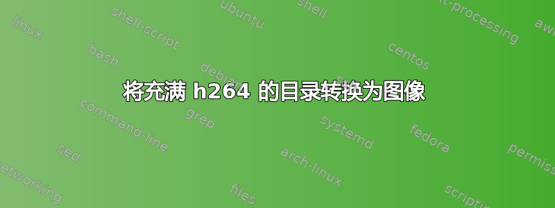 将充满 h264 的目录转换为图像