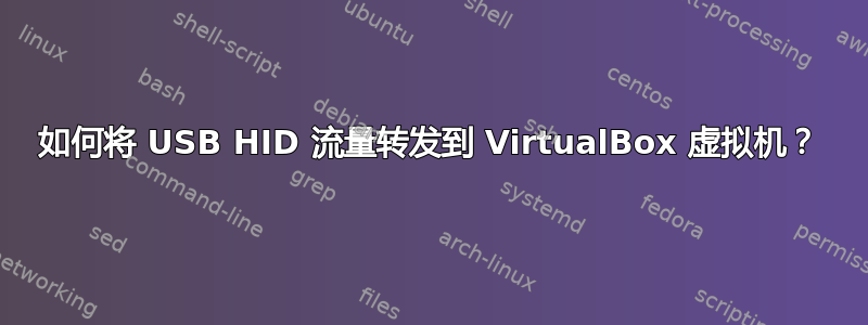 如何将 USB HID 流量转发到 VirtualBox 虚拟机？