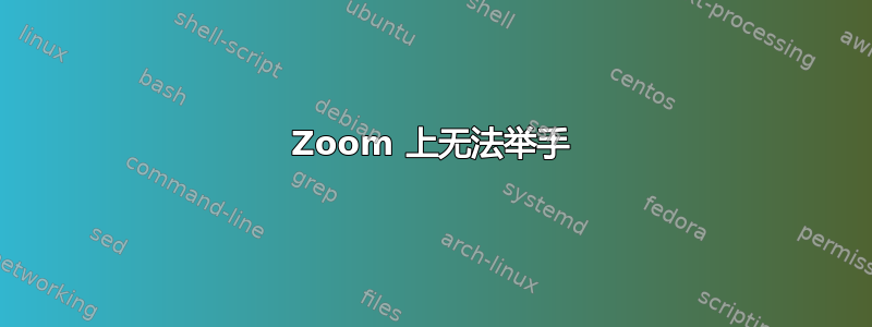 Zoom 上无法举手