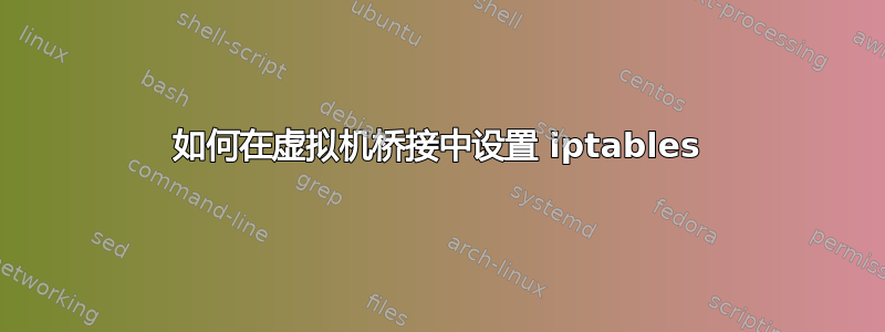 如何在虚拟机桥接中设置 iptables