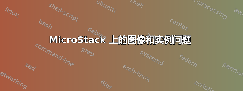 MicroStack 上的图像和实例问题