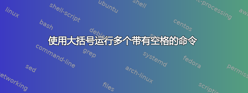 使用大括号运行多个带有空格的命令