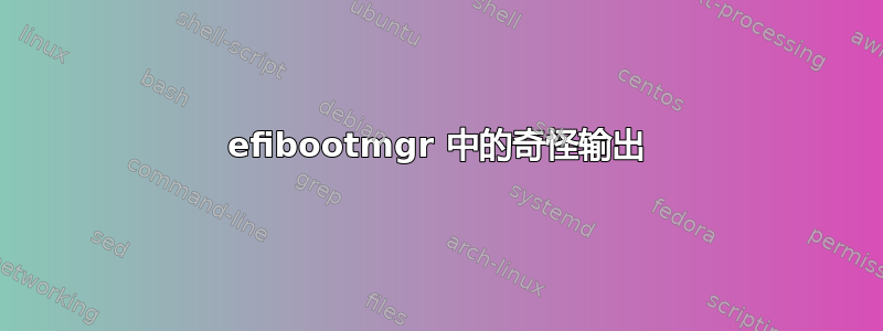 efibootmgr 中的奇怪输出