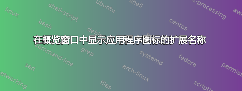 在概览窗口中显示应用程序图标的扩展名称