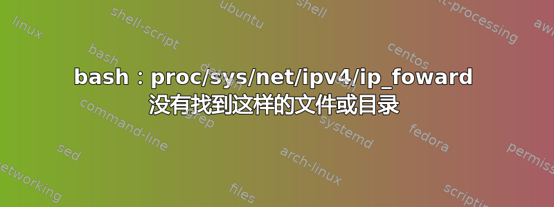 bash：proc/sys/net/ipv4/ip_foward 没有找到这样的文件或目录