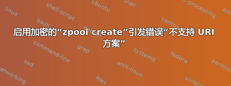 启用加密的“zpool create”引发错误“不支持 URI 方案”