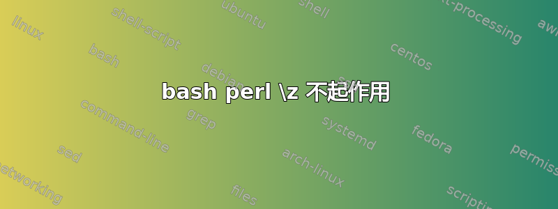 bash perl \z 不起作用