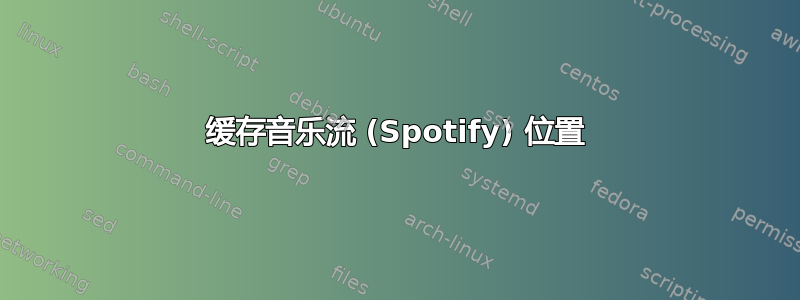 缓存音乐流 (Spotify) 位置