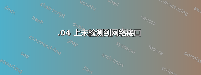 20.04 上未检测到网络接口