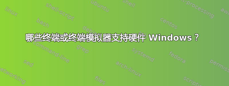 哪些终端或终端模拟器支持硬件 Windows？