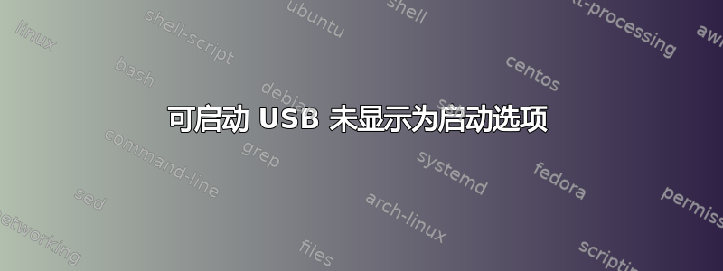 可启动 USB 未显示为启动选项