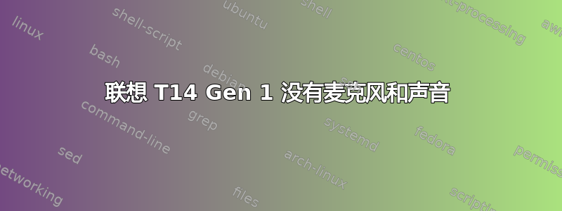 联想 T14 Gen 1 没有麦克风和声音