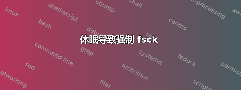 休眠导致强制 fsck