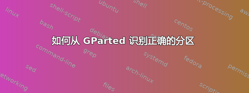 如何从 GParted 识别正确的分区