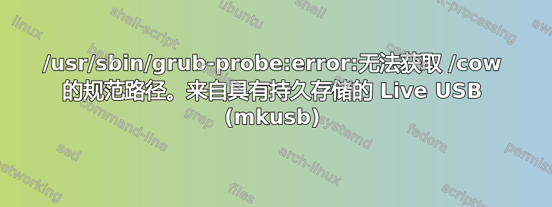 /usr/sbin/grub-probe:error:无法获取 /cow 的规范路径。来自具有持久存储的 Live USB (mkusb)