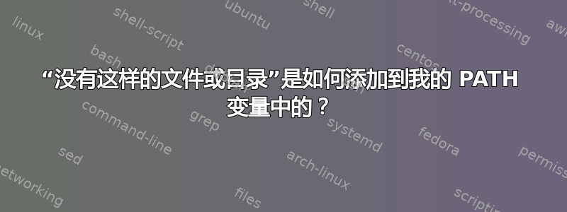 “没有这样的文件或目录”是如何添加到我的 PATH 变量中的？