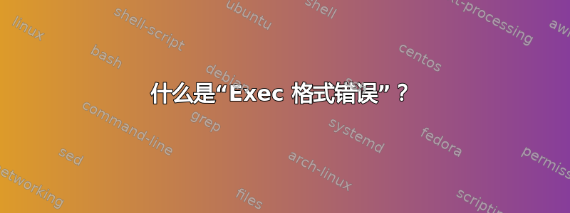 什么是“Exec 格式错误”？