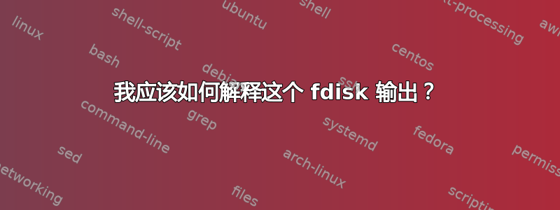 我应该如何解释这个 fdisk 输出？