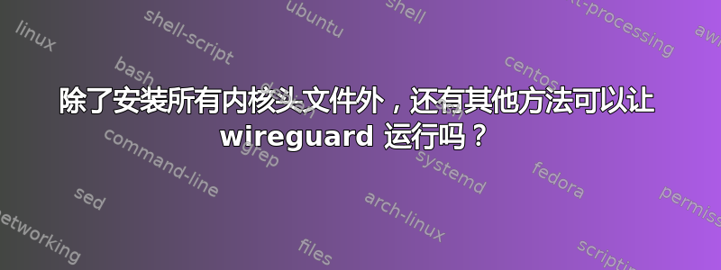 除了安装所有内核头文件外，还有其他方法可以让 wireguard 运行吗？