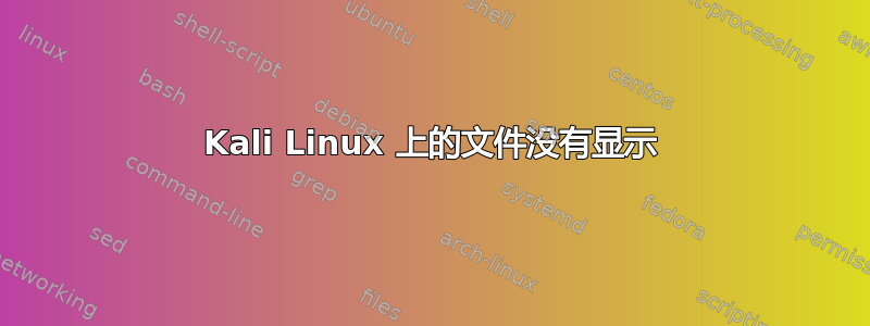 Kali Linux 上的文件没有显示