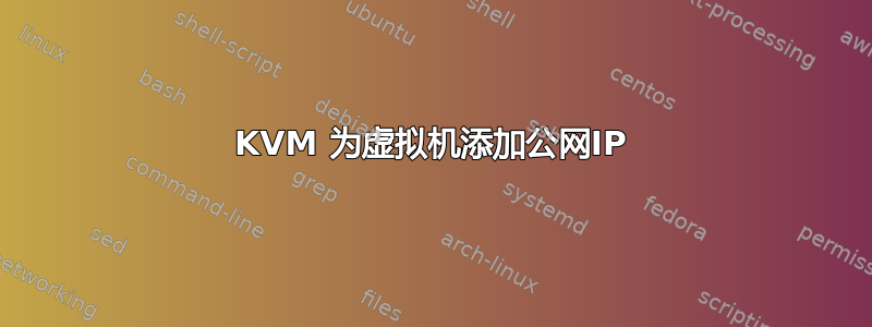 KVM 为虚拟机添加公网IP