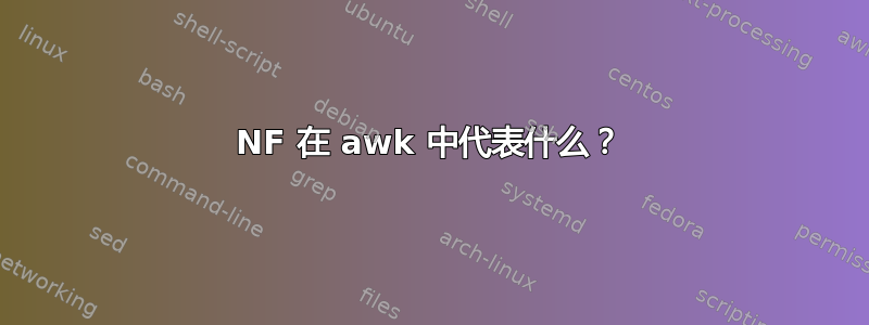 NF 在 awk 中代表什么？