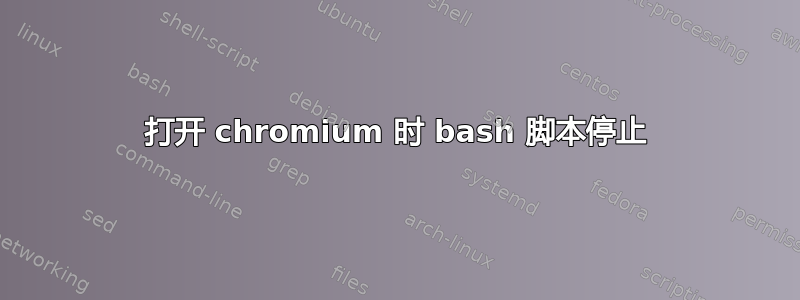 打开 chromium 时 bash 脚本停止