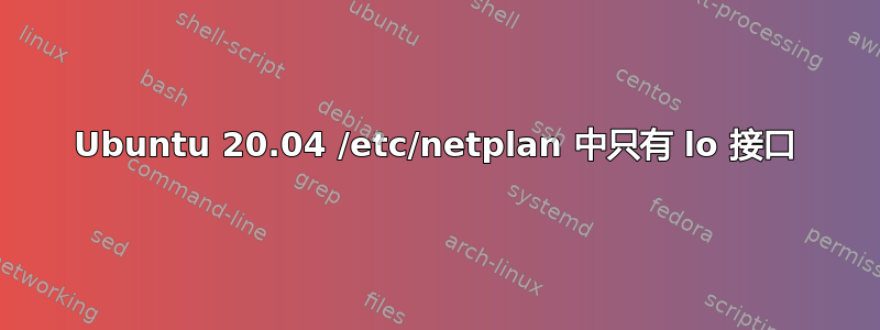 Ubuntu 20.04 /etc/netplan 中只有 lo 接口