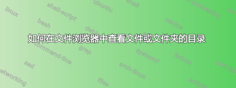 如何在文件浏览器中查看文件或文件夹的目录