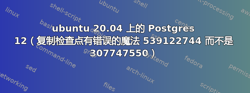 ubuntu 20.04 上的 Postgres 12（复制检查点有错误的魔法 539122744 而不是 307747550）