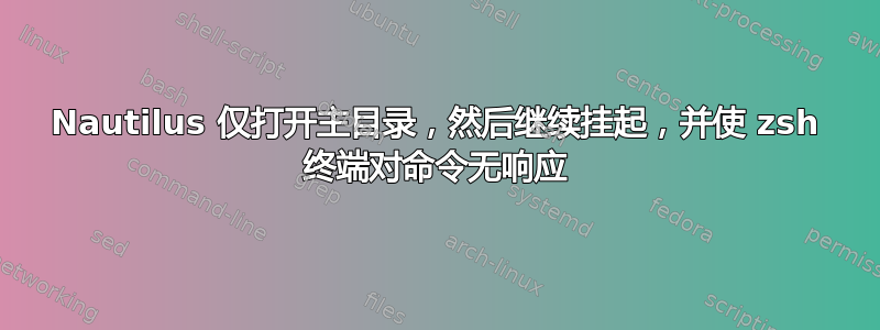 Nautilus 仅打开主目录，然后继续挂起，并使 zsh 终端对命令无响应