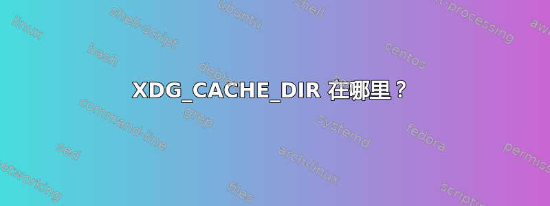 XDG_CACHE_DIR 在哪里？