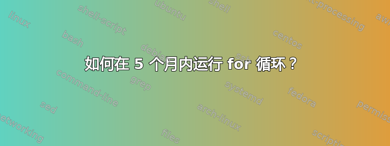 如何在 5 个月内运行 for 循环？