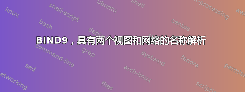 BIND9，具有两个视图和网络的名称解析