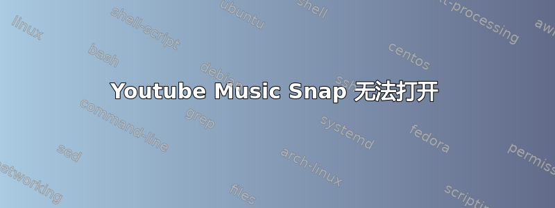 Youtube Music Snap 无法打开