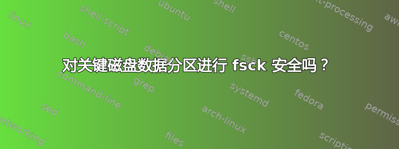 对关键磁盘数据分区进行 fsck 安全吗？