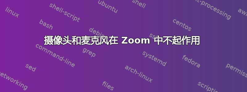 摄像头和麦克风在 Zoom 中不起作用