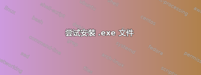 尝试安装 .exe 文件