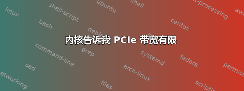 内核告诉我 PCIe 带宽有限