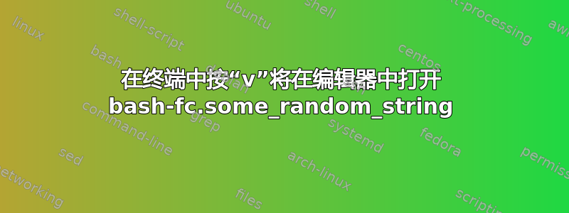 在终端中按“v”将在编辑器中打开 bash-fc.some_random_string