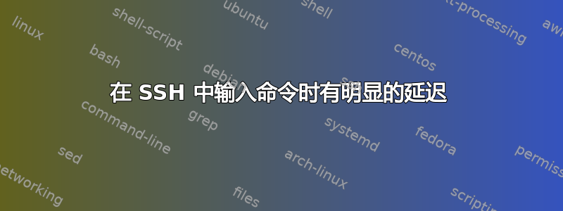 在 SSH 中输入命令时有明显的延迟