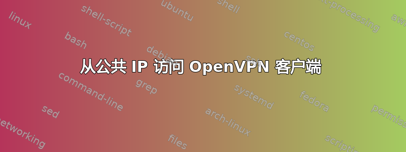 从公共 IP 访问 OpenVPN 客户端