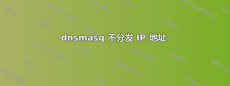 dnsmasq 不分发 IP 地址