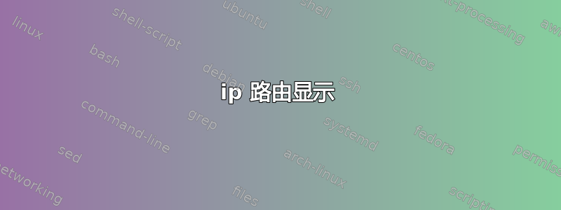 ip 路由显示