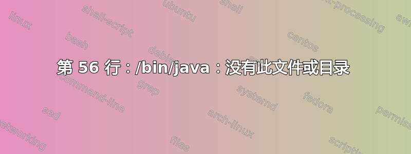 第 56 行：/bin/java：没有此文件或目录